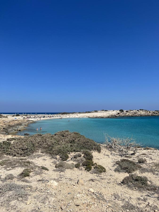 Villa Hellas Afiartis エクステリア 写真